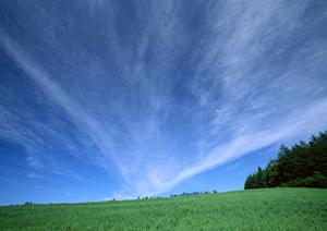 静岡県浜松市における家族葬の安心と低価格を実現する「家族葬のタクセル住吉」について徹底解説
