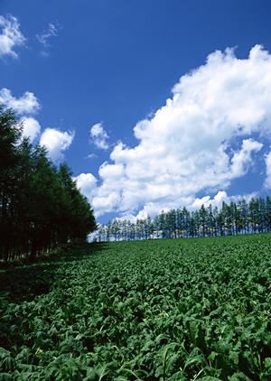 【公式】さがみ典礼 宇都宮御苑の葬儀サービスと特徴｜安心できる総合葬祭場