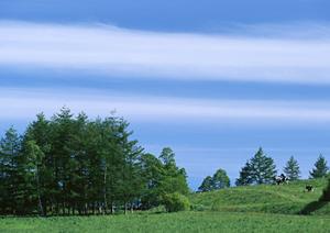 浜松市中央区に位置する信頼の葬儀場|富士葬祭 植松町の特徴とサービス内容