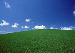 静岡市葵区の安心・低価格な家族葬専門斎場【家族葬のタクセル新伝馬】2024年5月オープン