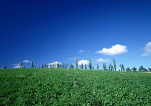 静岡県藤枝市で信頼できる葬儀サービス【富士葬祭 藤枝】の特徴と詳細情報
