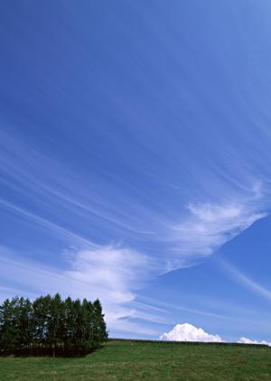 静岡県浜松市に新規オープン！家族葬専門の「家族葬のタクセル葵西」詳細ガイド
