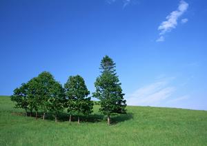 富士市の安心できる家族葬・一般葬が叶う【富士葬祭 富士松岡】の全て