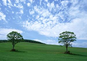 静岡市駿河区の家族葬に最適な斎場|家族葬のタクセル大和の特徴とサービス詳細