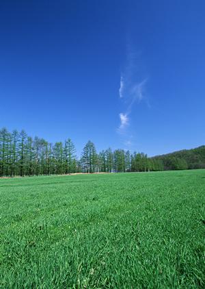 静岡県浜松市中央区にある家族葬のタクセル天竜川駅前｜安心低価格で叶える家族葬・密葬・直葬の専門斎場