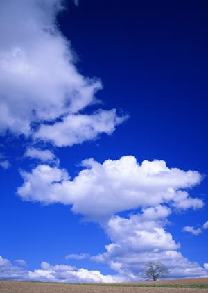 静岡県の低価格・安心の葬儀サービス｜【家族葬のタクセル】の概要と特徴