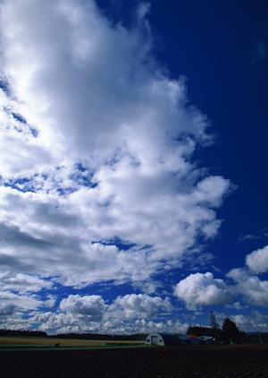 静岡県富士宮市に新規オープン！家族葬に最適な【家族葬のタクセル宮原】の全貌と特徴