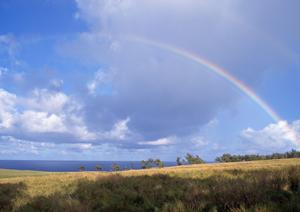 静岡市を中心に展開する富士葬祭 唐瀬：地域に根ざした信頼の葬儀場とサービス