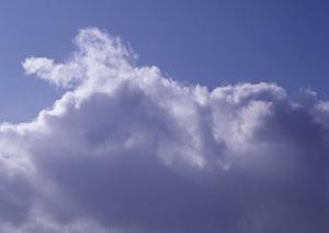 静岡県富士市の安心・低価格な家族葬を実現する【家族葬のタクセル国久保】の全容解説