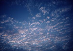 静岡・浜松の信頼と実績を誇る富士葬祭 高林：安心の葬儀サービスと充実の施設紹介