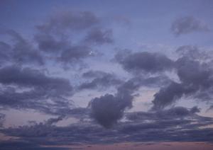 静岡県浜松市の信頼できる葬儀場・家族葬ホール｜富士葬祭佐鳴台の特徴とサービス内容