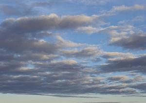 静岡県藤枝市に新規オープン！家族葬のタクセル高柳｜安心価格と多彩な葬儀プランで選ばれる葬儀場